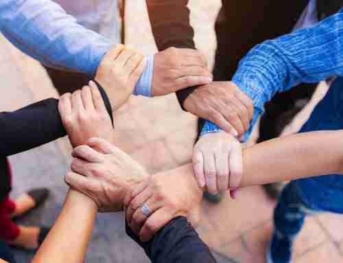 成为尊时凯龙的一份子