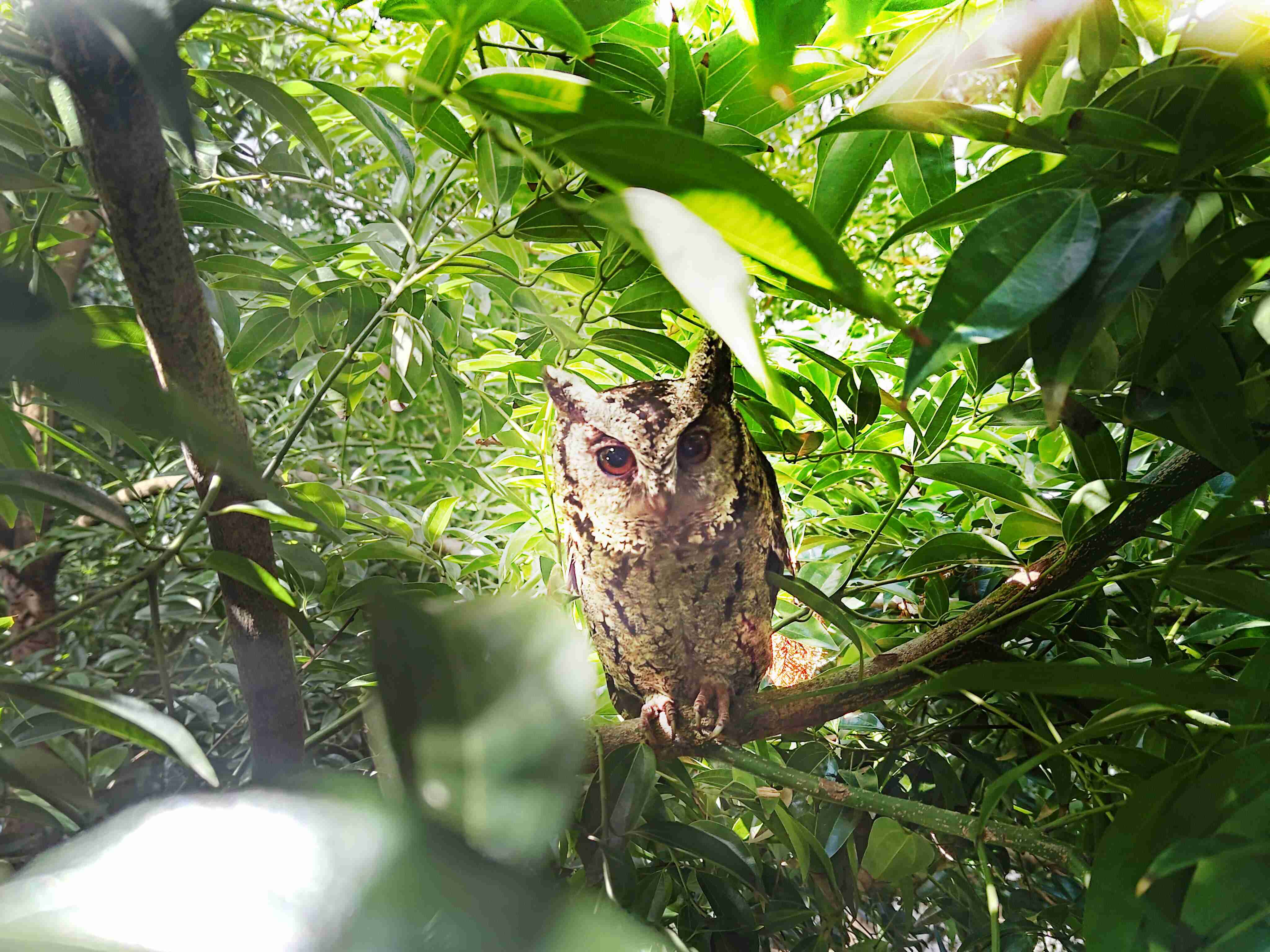 尊时凯龙致力提倡净零绿生活，，，16年以来在全球各厂区植树逾百万棵，，，造就各厂区树木蔚然成林，，，，犹如森林工厂，，，成为许多生物的栖息地